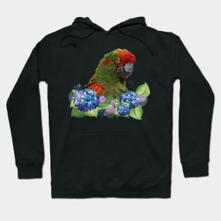 Cochabamba Macaw Hoodie